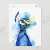 Peacock Bird Waterverf Art Briefkaart (Voorkant / Achterkant)