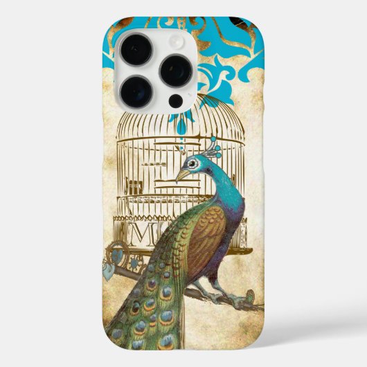 Peacock Birdcage Damask iPhone Case (Achterkant)