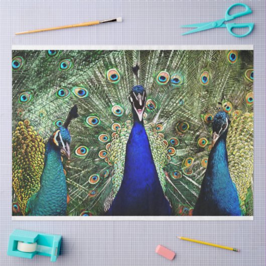 Peacock Birds Wall Art-deportpapier Tissuepapier (Craft)