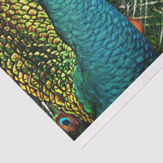 Peacock Birds Wall Art-deportpapier Tissuepapier (Detail)