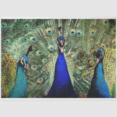 Peacock Birds Wall Art-deportpapier Tissuepapier (Voorkant)