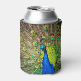 Peacock Blikjeskoeler