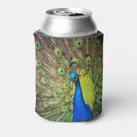 Peacock Blikjeskoeler (Blikje Achterkant)