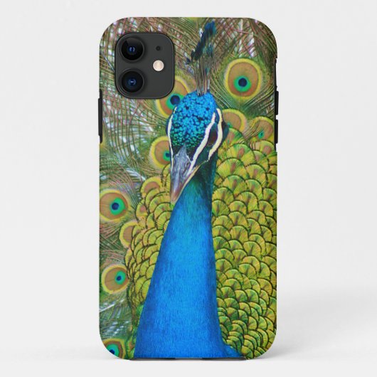 Peacock Blue Head met kleurrijke staartopperen Case-Mate iPhone Case (Achterkant)