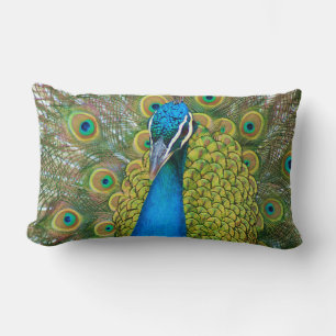 Peacock Blue Head met kleurrijke staartopperen Kussen