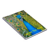 Peacock Blue Head met kleurrijke staartopperen Notitieboek (Rechterzijde)