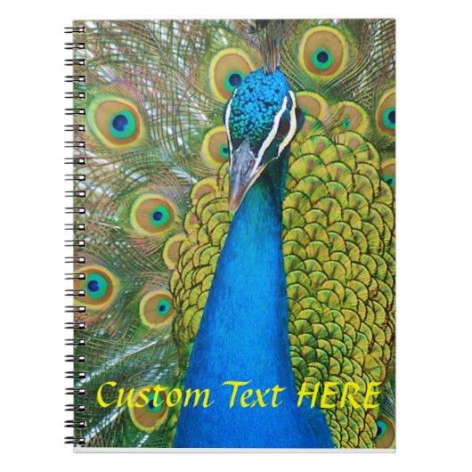 Peacock Blue Head met kleurrijke staartopperen Notitieboek (Voorkant)