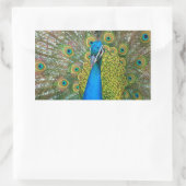 Peacock Blue Head met kleurrijke staartopperen Rechthoekige Sticker (Tas)