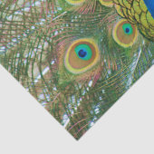 Peacock Blue Head met kleurrijke staartopperen Tissuepapier (Detail)