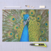 Peacock Blue Head met kleurrijke staartopperen Tissuepapier (Craft)