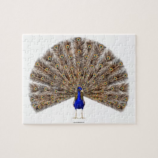 Peacock Blue Legpuzzel (Horizontaal)