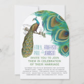 Peacock Boho Bohemian Feathers met Peacock Kaart (Voorkant)