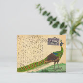 Peacock-brief met stempel en poststempel Briefkaart (Staand voorkant)