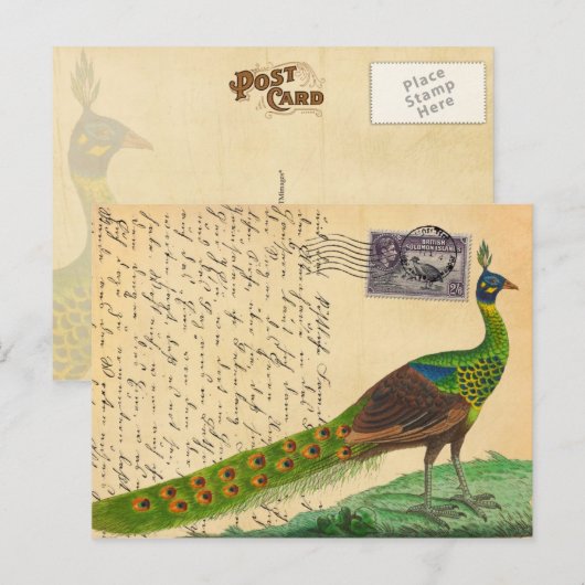 Peacock-brief met stempel en poststempel Briefkaart (Voorkant / Achterkant)