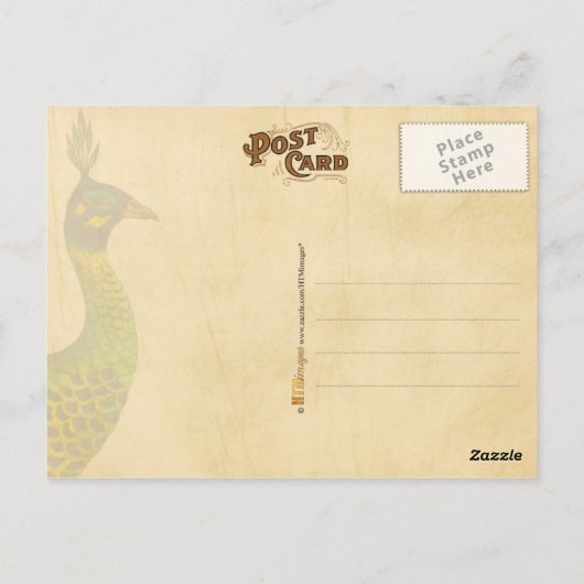 Peacock-brief met stempel en poststempel Briefkaart (Achterkant)