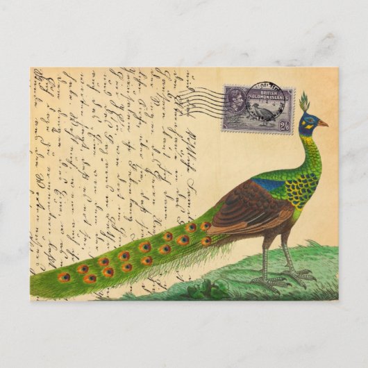 Peacock-brief met stempel en poststempel Briefkaart (Voorkant)