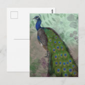 Peacock Briefkaart (Voorkant / Achterkant)