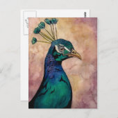 Peacock Briefkaart (Voorkant / Achterkant)