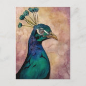 Peacock Briefkaart (Voorkant)
