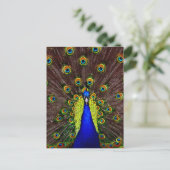 Peacock Briefkaart (Staand voorkant)