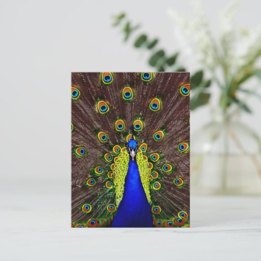 Peacock Briefkaart (Staand voorkant)