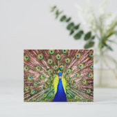 PEACOCK BRIEFKAART (Staand voorkant)