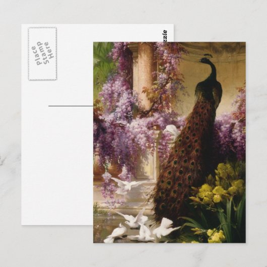  Peacock Briefkaart (Voorkant / Achterkant)