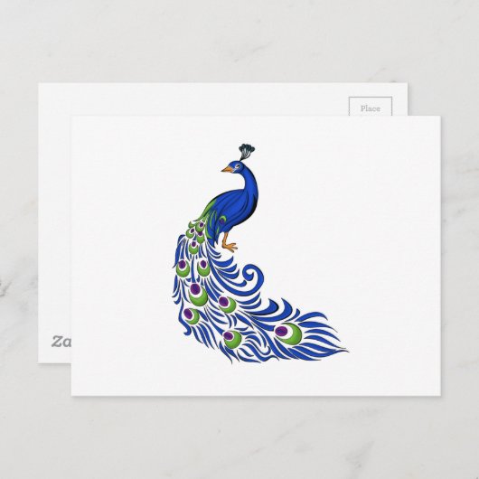 Peacock Briefkaart (Voorkant / Achterkant)