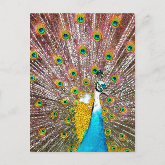 Peacock Briefkaart (Voorkant)