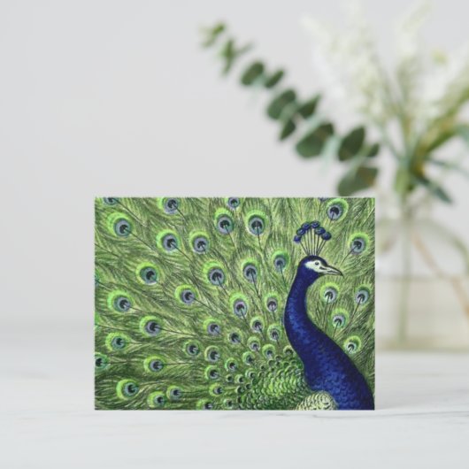  Peacock Briefkaart (Staand voorkant)