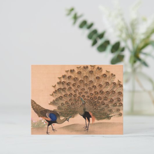 Peacock Briefkaart (Staand voorkant)