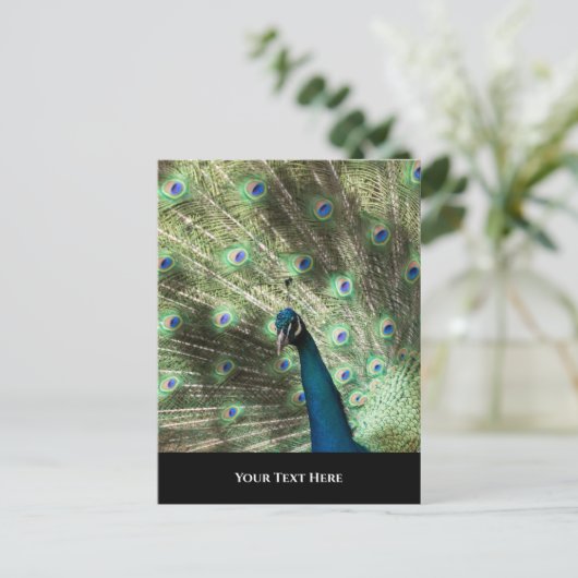 Peacock Briefkaart (Staand voorkant)