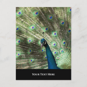 Peacock Briefkaart