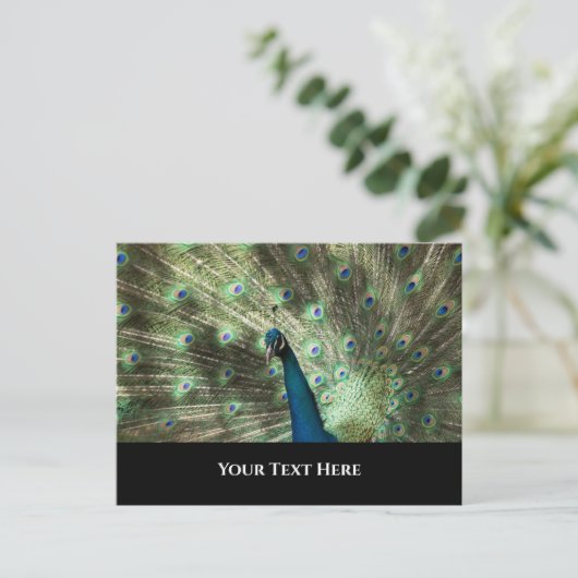 Peacock Briefkaart (Staand voorkant)