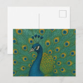 Peacock Briefkaart (Voorkant / Achterkant)