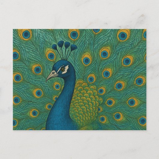 Peacock Briefkaart (Voorkant)