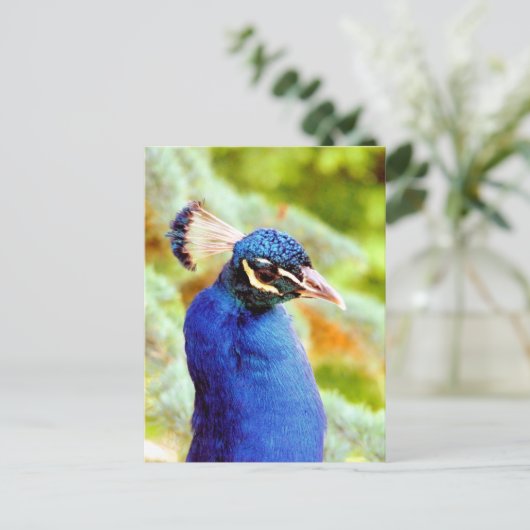 PEACOCK BRIEFKAART (Staand voorkant)