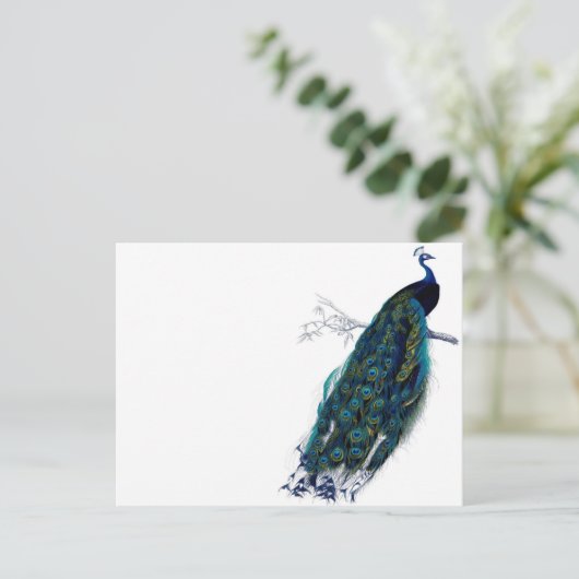  Peacock Briefkaart (Staand voorkant)