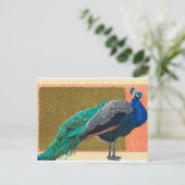 Peacock Briefkaart (Staand voorkant)