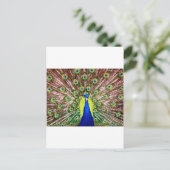 PEACOCK BRIEFKAART (Staand voorkant)