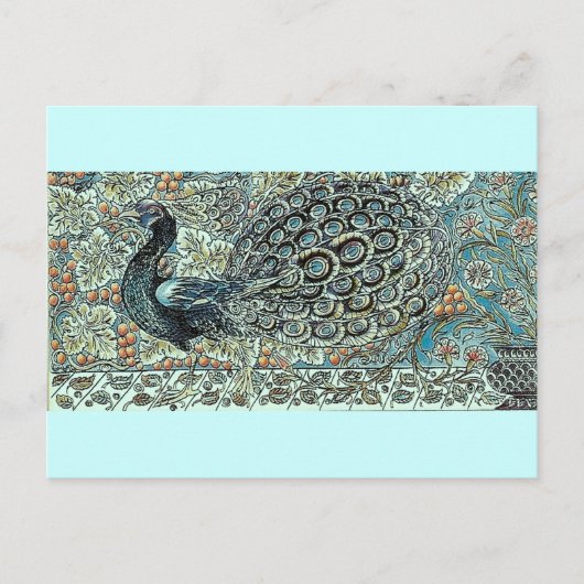 Peacock Briefkaart (Voorkant)