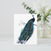  Peacock Briefkaart (Staand voorkant)