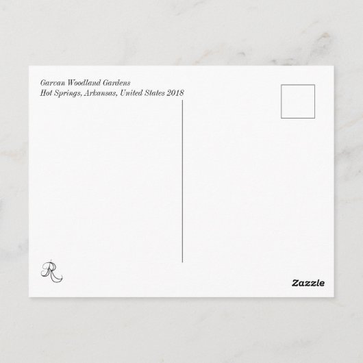 Peacock Briefkaart (Achterkant)