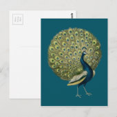 Peacock Briefkaart (Voorkant / Achterkant)