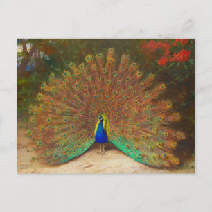 Peacock-Briefkaart Briefkaart