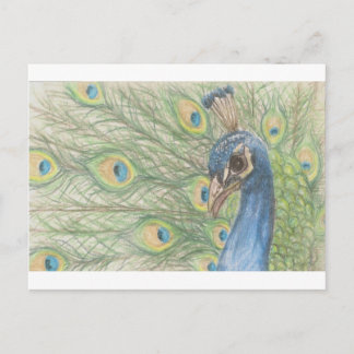 Peacock-Briefkaart Briefkaart