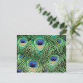 Peacock-Briefkaart Briefkaart (Staand voorkant)