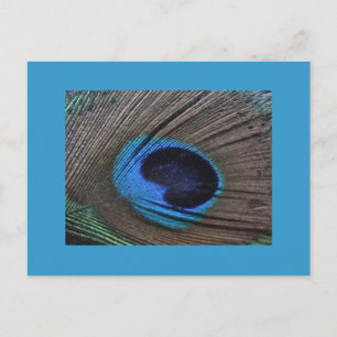 Peacock-Briefkaart Briefkaart