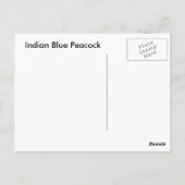 Peacock-Briefkaart Briefkaart (Achterkant)