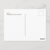 Peacock-Briefkaart Briefkaart (Achterkant)